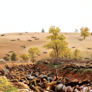 W W Norton Civil War History Book Kindle Edition-0